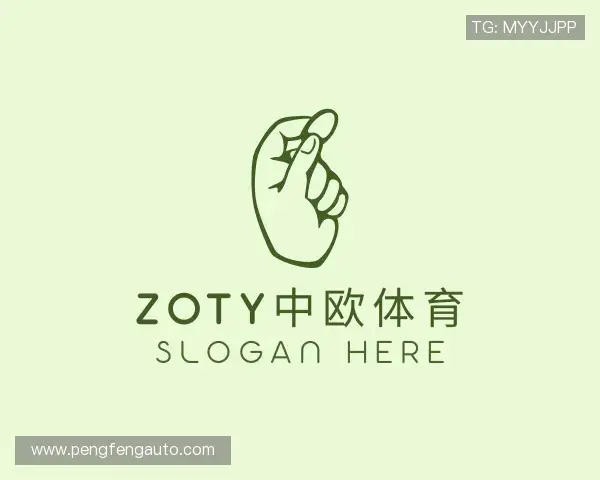 认识zoty中欧
